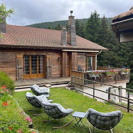 Bed and Breakfast Au 21 Vosgien Ventron Esterno foto