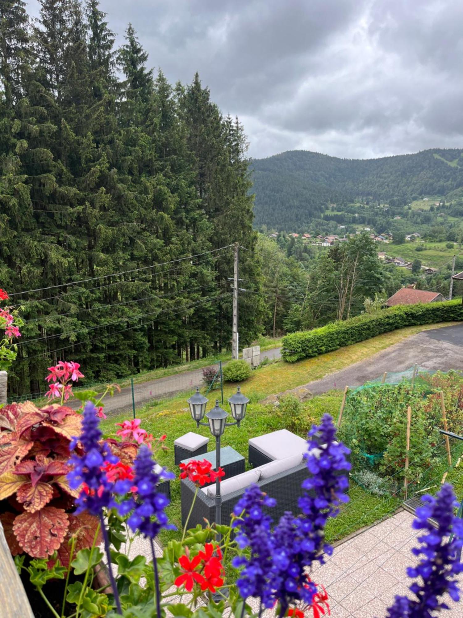 Bed and Breakfast Au 21 Vosgien Ventron Esterno foto