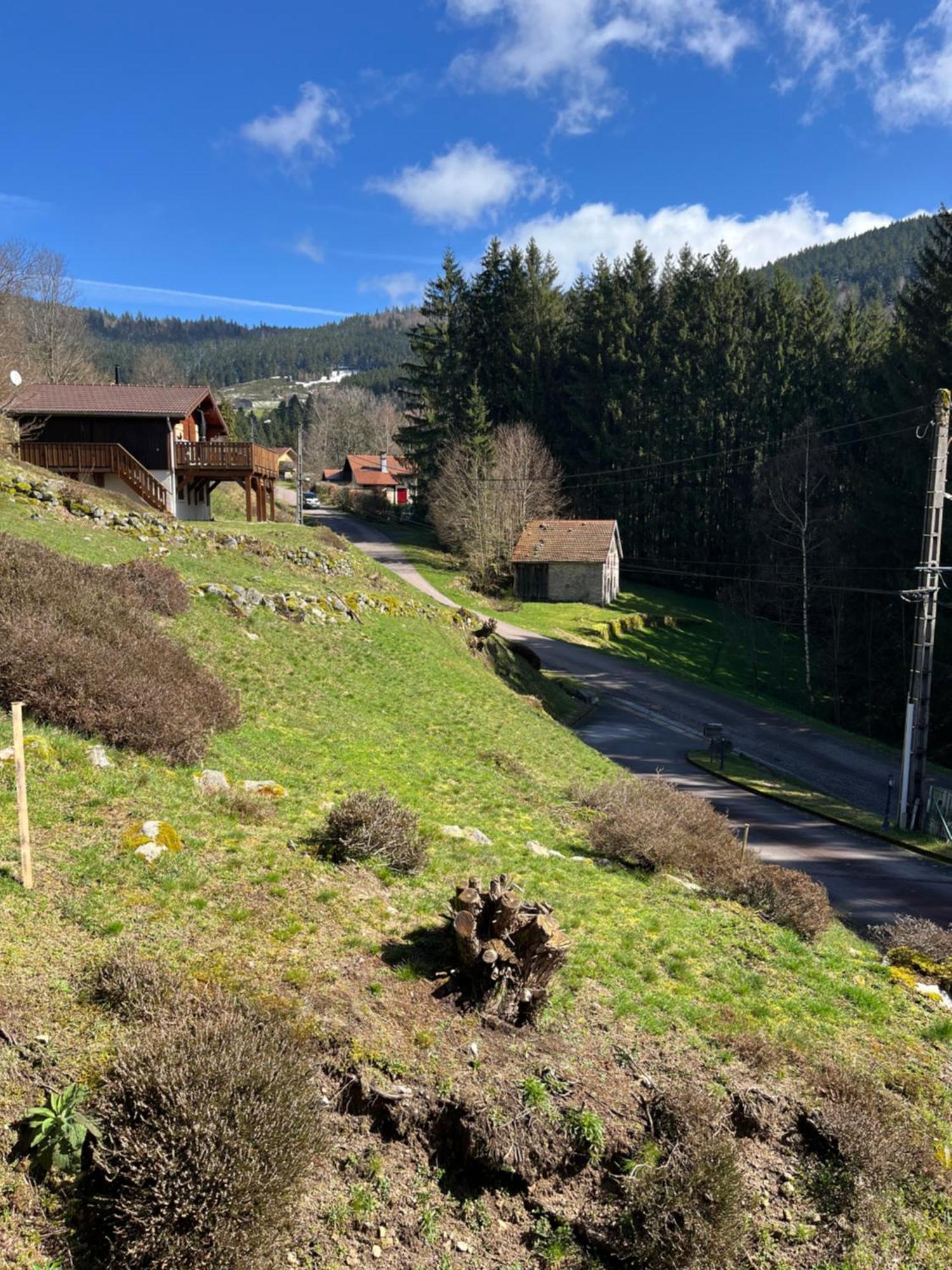 Bed and Breakfast Au 21 Vosgien Ventron Esterno foto